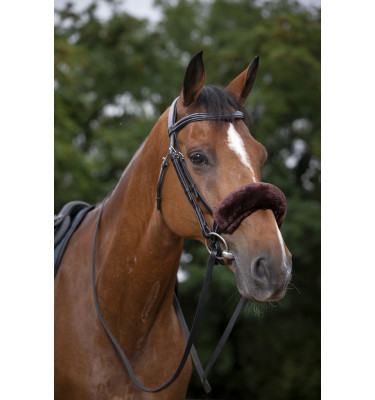 Futerko na nachrapnik Equitheme Teddy czarny