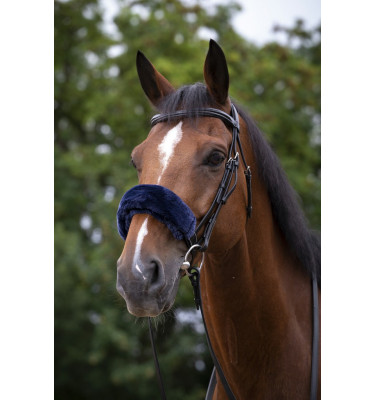 Futerko na nachrapnik Equitheme Teddy czarny