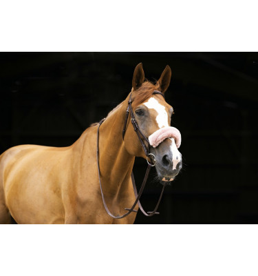 Futerko na nachrapnik Equitheme Teddy czarny