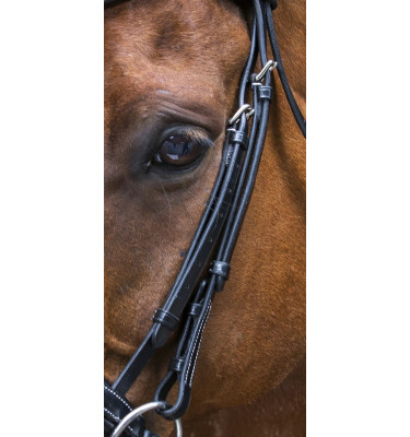 Ogłowie Eric Thomas Pro Design czarny cob