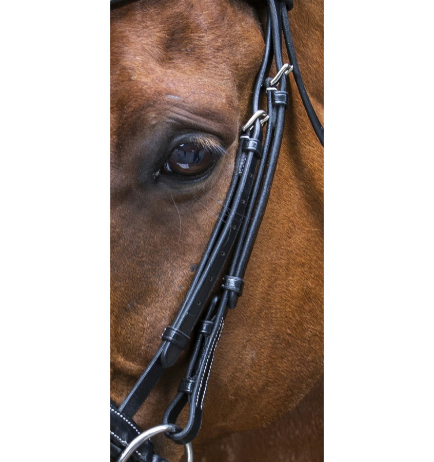 Ogłowie Eric Thomas Pro Design czarny cob