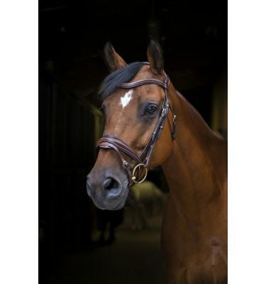 Ogłowie Eric Thomas Pro Design czarny cob