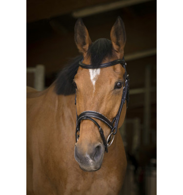 Ogłowie Norton Pro Rock czarne cob