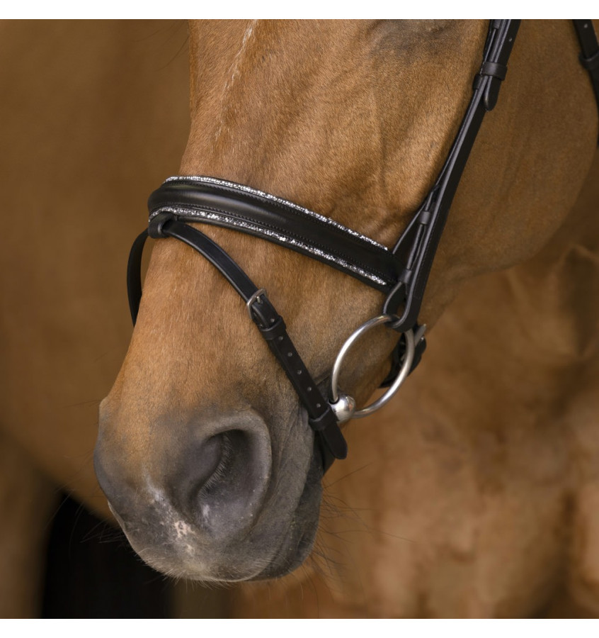 Ogłowie Norton Pro Rock czarne cob