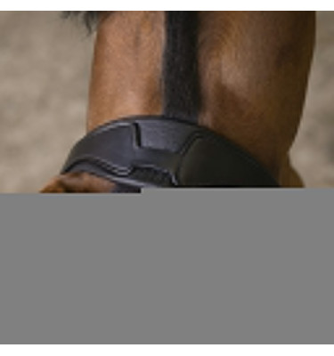 Ogłowie Norton Pro Rock czarne cob