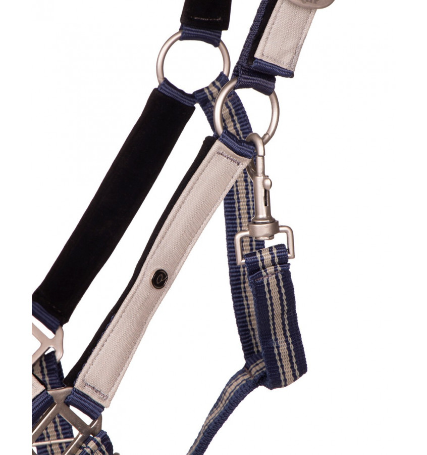 Kantar z uwiązem QHP almond full