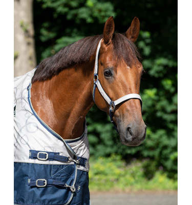 Kantar z uwiązem QHP almond full