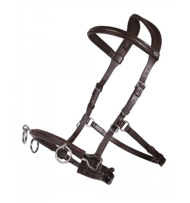 Skórzany kawecan QHP czarny cob