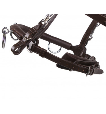 Skórzany kawecan QHP czarny cob