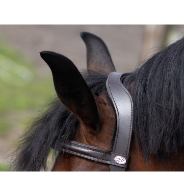 Skórzany kawecan QHP czarny cob