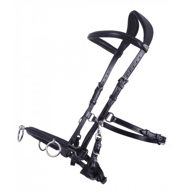 Skórzany kawecan QHP czarny cob