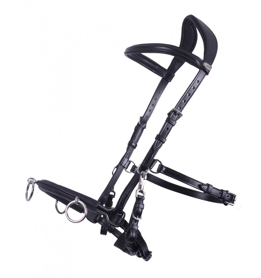 Skórzany kawecan QHP czarny cob