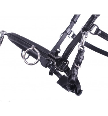 Skórzany kawecan QHP czarny cob