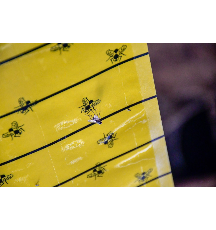 Lep na muchy w rolce JumboXL 40cm x 10m