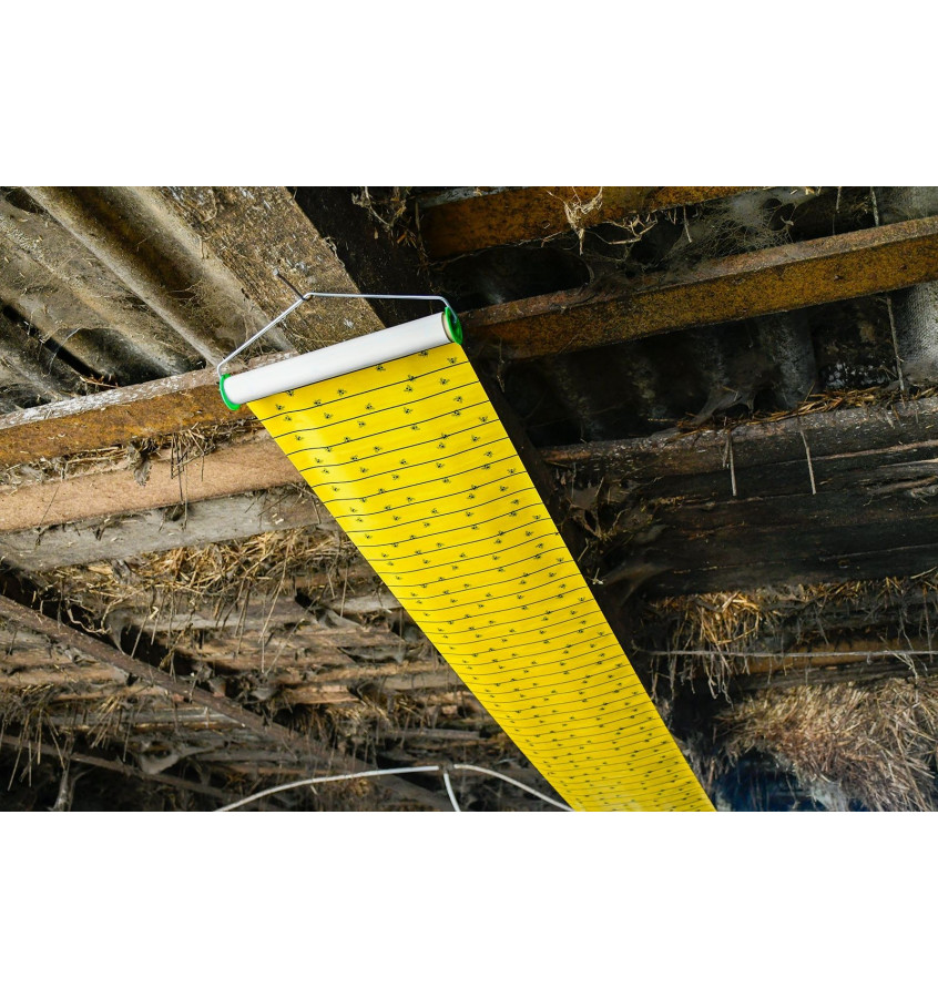 Lep na muchy w rolce JumboXL 40cm x 10m