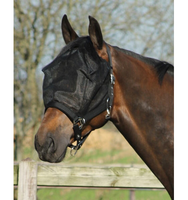 Kantar z maską na owady cob