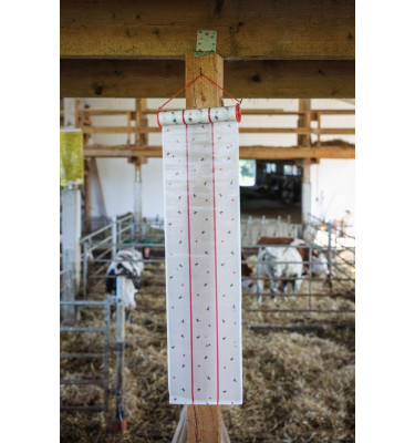 Lep na muchy w rolce Eco 25cm x 10m