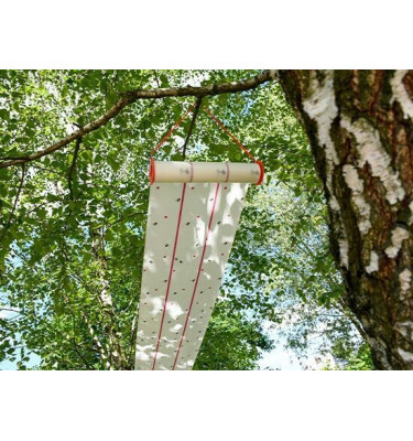 Lep na muchy w rolce Eco 25cm x 10m