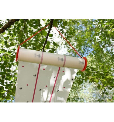 Lep na muchy w rolce Eco 25cm x 10m