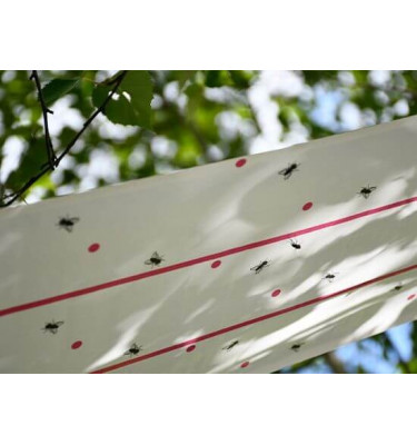 Lep na muchy w rolce Eco 25cm x 10m