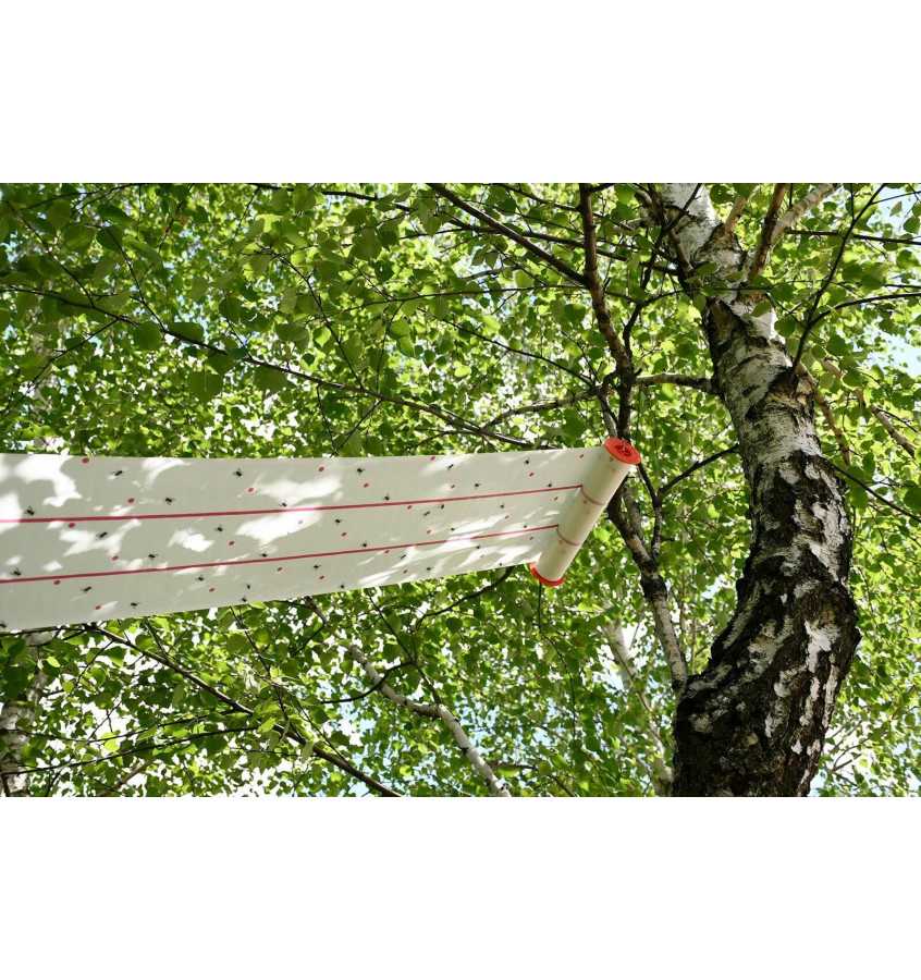 Lep na muchy w rolce Eco 25cm x 10m