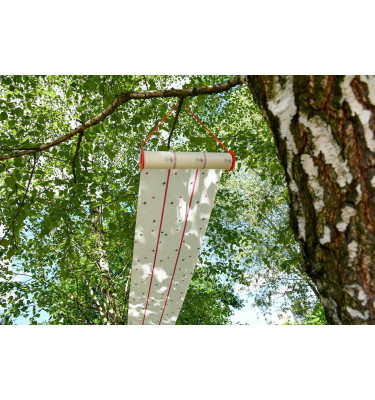 Lep na muchy w rolce Eco 25cm x 10m