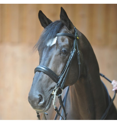 Ogłowie munsztukowe Dacira