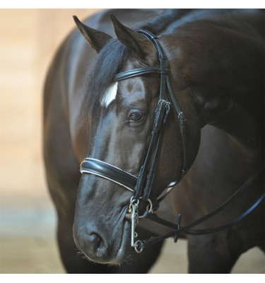 Ogłowie munsztukowe Dacira z białym podsz. pony