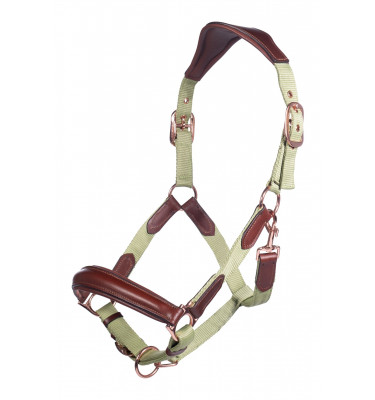 Kantar Edinburgh koniak cob