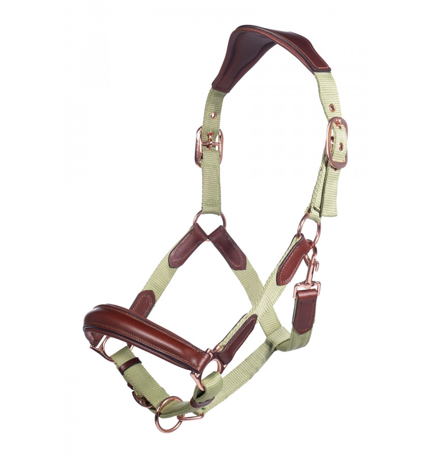 Kantar Edinburgh koniak cob