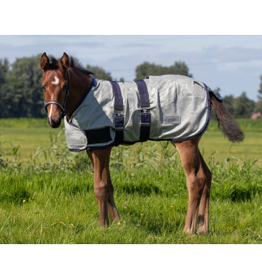 Derka siatkowa dla źrebaka 65