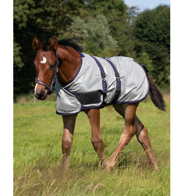 Derka siatkowa dla źrebaka 65