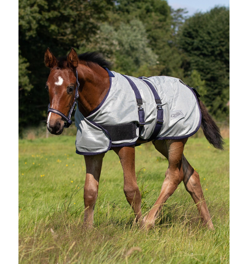 Derka siatkowa dla źrebaka 65