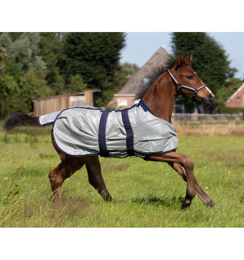 Derka siatkowa dla źrebaka 65