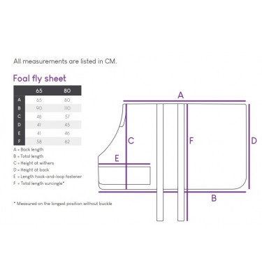 Derka siatkowa dla źrebaka 65