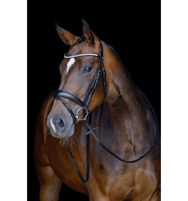 Ogłowie Melinda brąz cob