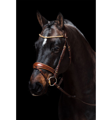 Ogłowie Marrakesh czarne cob