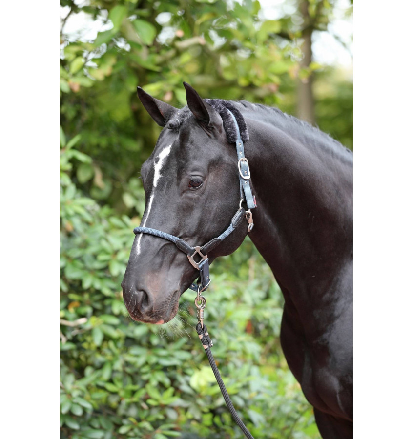 Kantar dla konia Cordano niebieski cob