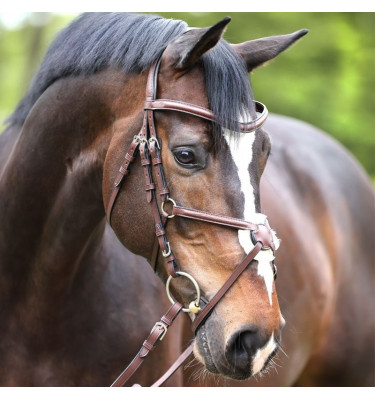 Ogłowie meksykańskie Proline Diego brąz cob