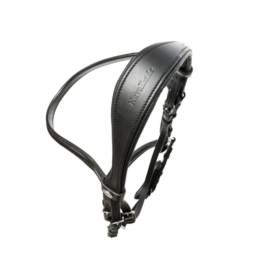 Ogłowie olejowane Proline Astrid brąz cob