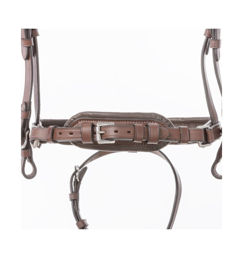 Ogłowie olejowane Proline Astrid brąz cob