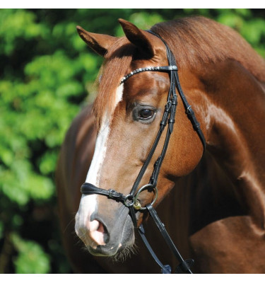 Ogłowie dla konia Fiala cob