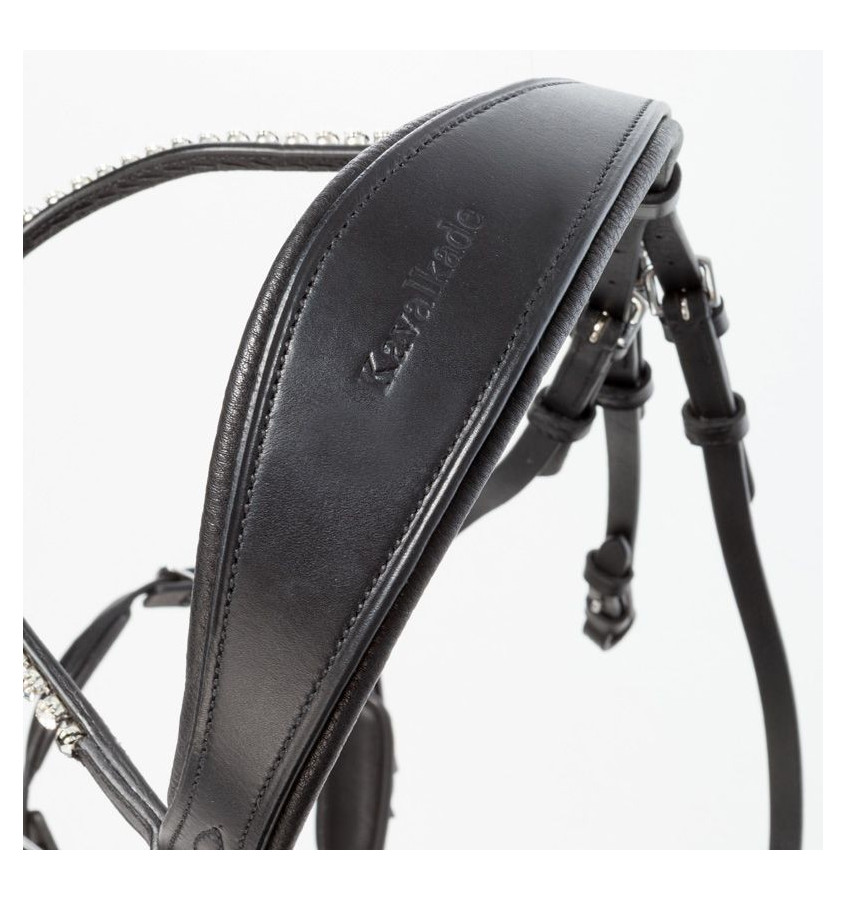 Ogłowie dla konia Fiala cob