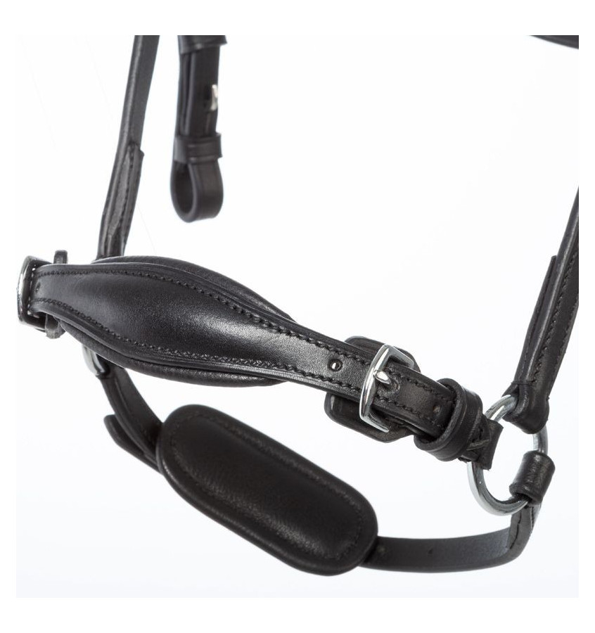 Ogłowie dla konia Fiala cob