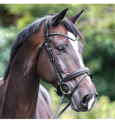 Ogłowie KavalSH4 Ocean cob