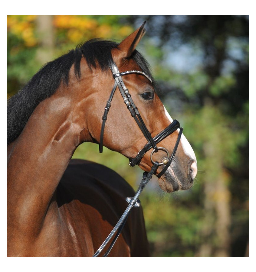 Ogłowie dla konia Reyna KavalSH4 cob