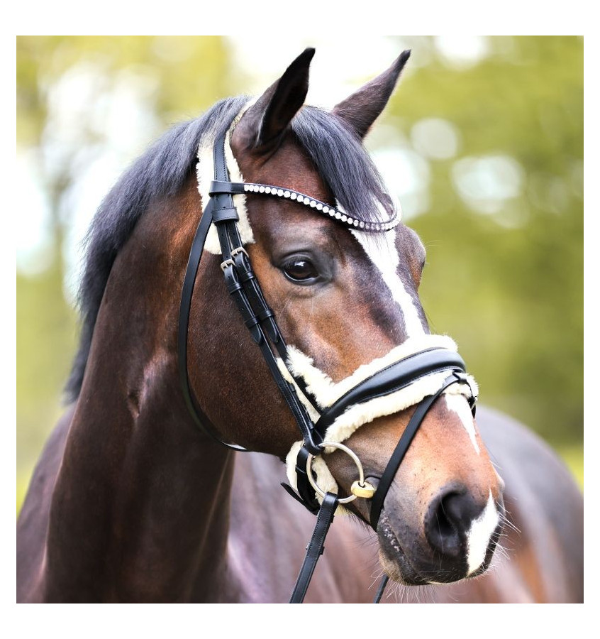 Ogłowie z futerkiem Joyce KavalSH4 cob