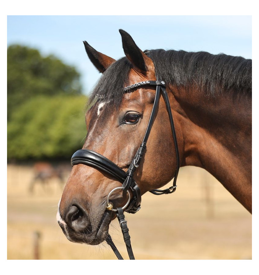 Ogłowie dla konia Ayana KavalSH4 cob