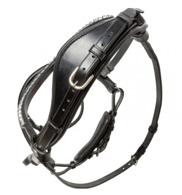 Ogłowie dla konia Ayana KavalSH4 cob