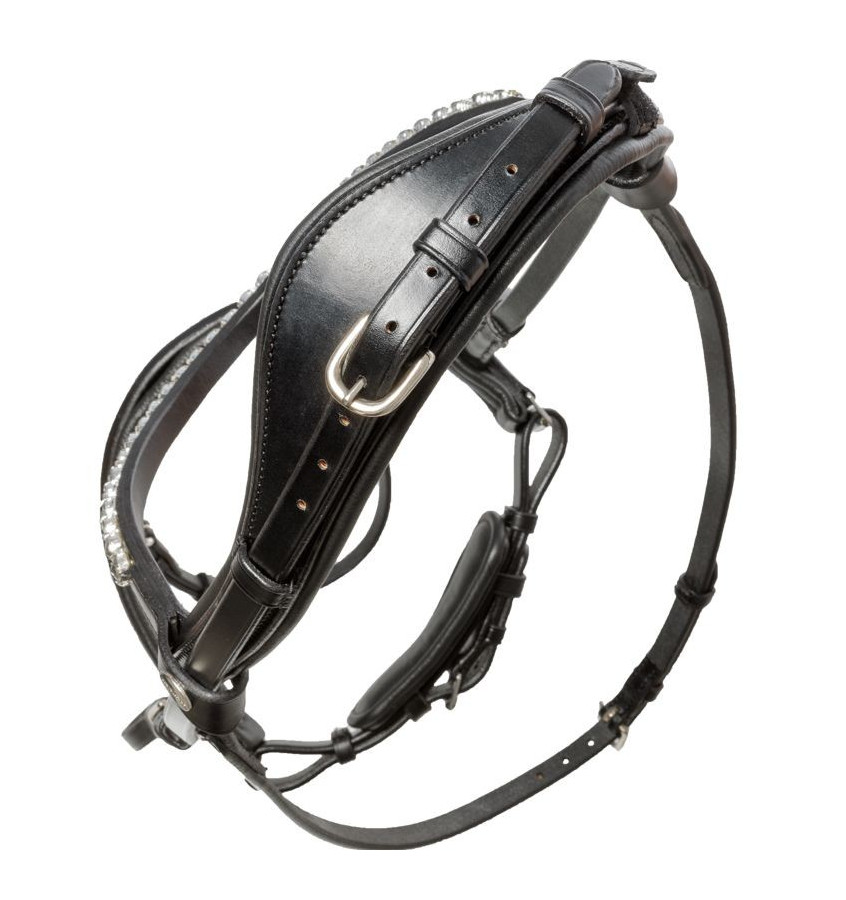 Ogłowie dla konia Ayana KavalSH4 cob